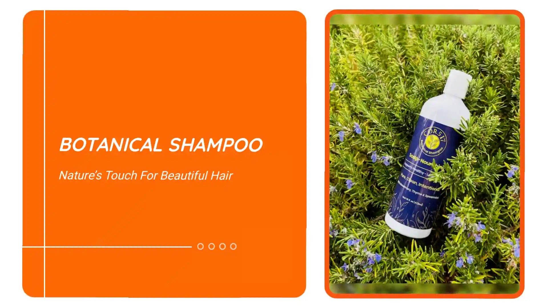 Botanical Shampoo by@Outfy